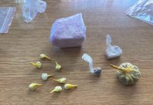 Bastisje, gjenden mbi 160 gramë kokainë, hashash dhe marihuanë, të fshehura në lavatriçe