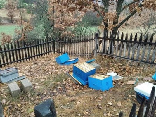 Zjarri gëlltiti rreth 120 koshere bletësh