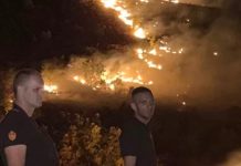 Digjet Mali i Thatë, flakët arrijnë mbi fshatin Bojanë