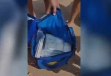 E pazakontë/ Çanta me 700 mijë euro del në breg të detit, pushuesit mbushin xhepat