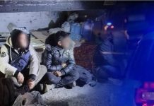 10 emigrantë kapen në një “Fiat Tipo”, arrestohet shoferi në “Bogorodicë”