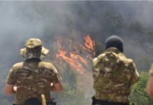 Heroi i ri i Maqedonisë: Traktoristi parandalon përhapjen e zjarrit duke lëruar mes flakëve