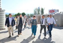Partneriteti me Lidl: Një katalizator për standardizimin dhe rritjen e prodhuesve maqedonas