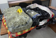 Shtatë të dyshuar të rinj për transportimin e marihuanës nga Maqedonia në Serbi