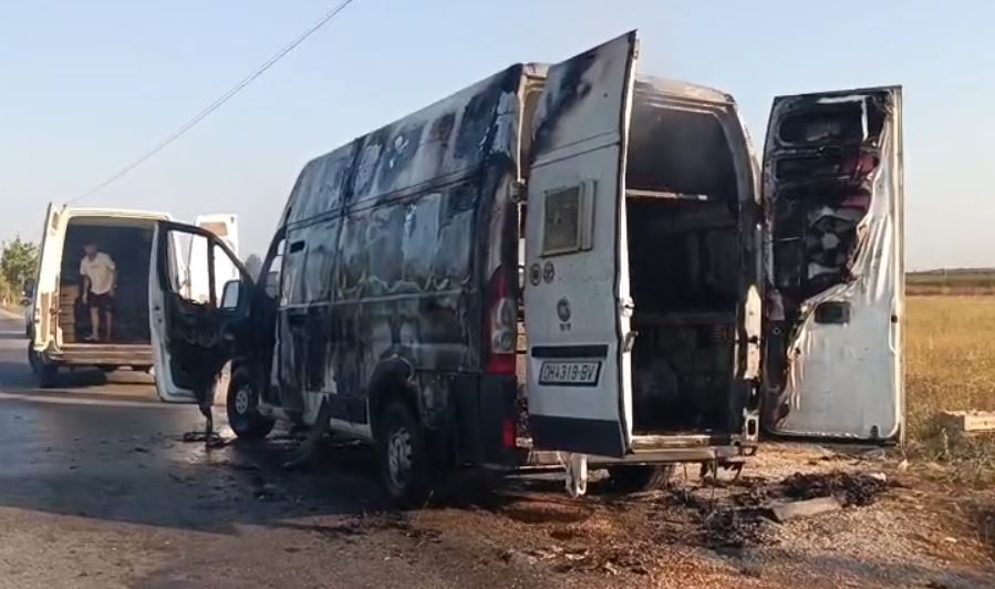 perfshihet-nga-flaket-ne-shqiperi-furgoni-i-maqedonise-qe-po-transportonte-zogj-ngordhin-giysma-e-shpendeve