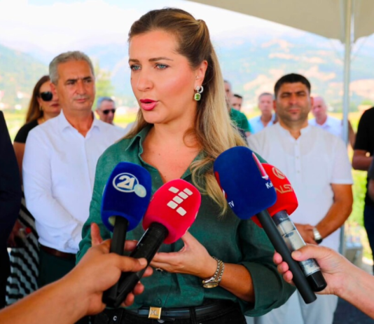 Hekurudhat në degradim, rrugët në letër! Zekolli: Me Kosovën për katër vite lidhemi me autostradë