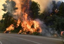 Zjarr aktiv edhe mes fshatrave Kopanicë dhe Radushë, në Komunën e Sarajit