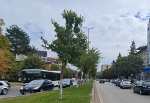 Asnjë taksist në Tetovë nuk ka aplikuar për leje pune nga komuna e Tetovës