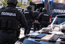 Goditje e madhe ndaj narkotrafikut, policia në aksion në mbarë vendin