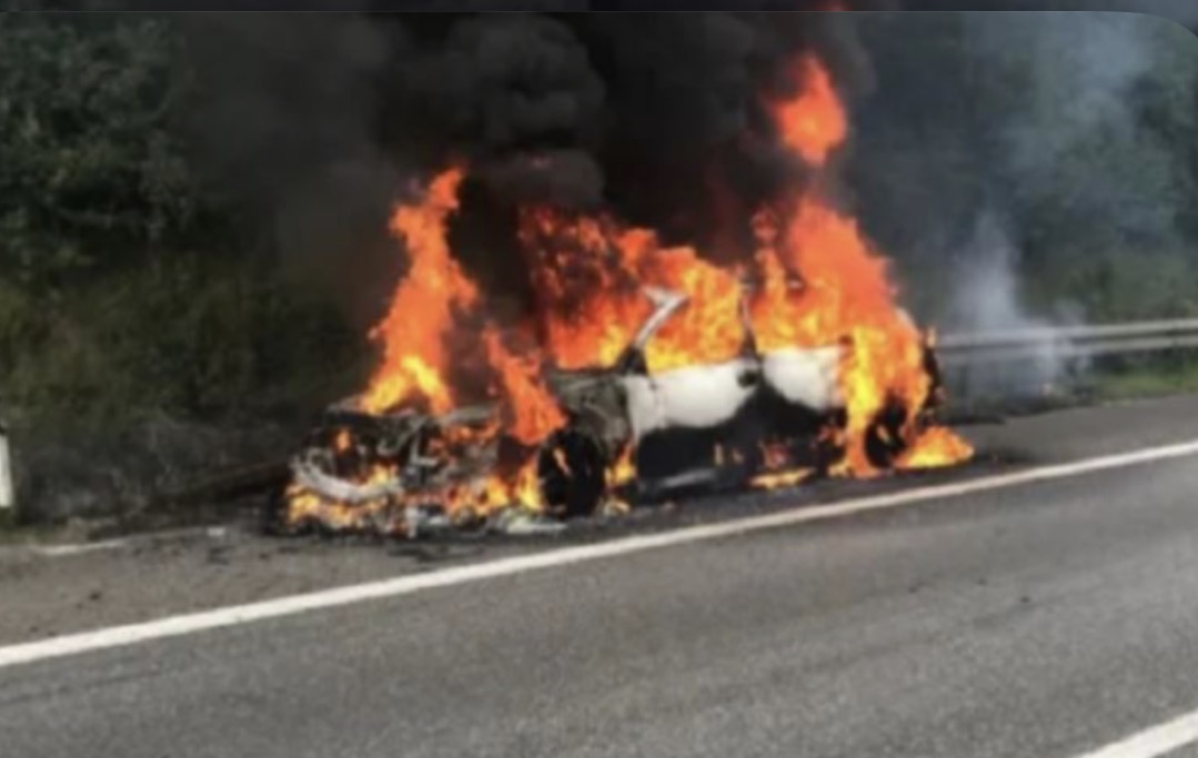 Tragjedi në autostradën Ohër–Kërçovë: makina përplaset me qentë, përfshihet nga flakët – shoferi humbet jetën