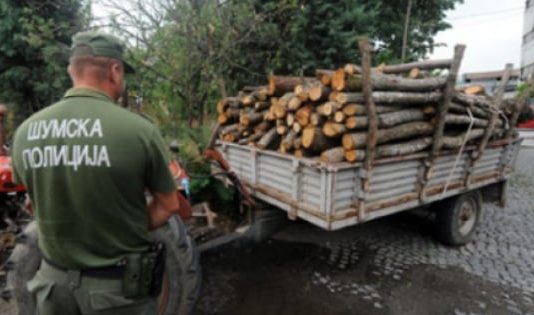 Aksion: Arrestohen dy persona pas sulmit ndaj zyrtarëve gjatë kontrollit të druve