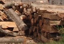 Dimri godet që në shtator: Drutë arrijnë në 5 mijë denarë, peleti bëhet luks i papërballueshëm!