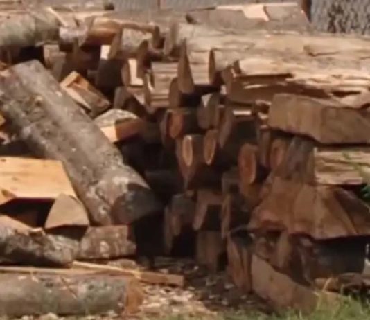 Dimri godet që në shtator: Drutë arrijnë në 5 mijë denarë, peleti bëhet luks i papërballueshëm!