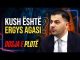 Nga zyrat e shtetit te prangat e SPAK: Kush është Ergys Agasi dhe si u shndërrua në një nga emrat më të përfolur të dosjes së tenderëve?