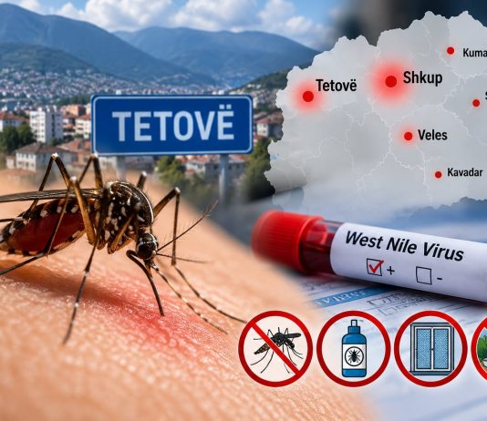 Ethet e Nilit Perëndimor mbërrijnë edhe në Tetovë, pesë raste të reja brenda një jave