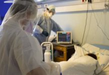 Shtatë të vdekur nga ethet e Nilit Perëndimor: Virusi pritej, pse sistemi vonoi?