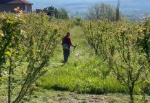 Fermerët në krizë: Shpenzimet +7%, prodhimet ulen 2.2%