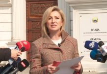 LSDM: Kush po paguan lobim për Mickoskin – armë, miliona dhe lidhje me një rast kokaine