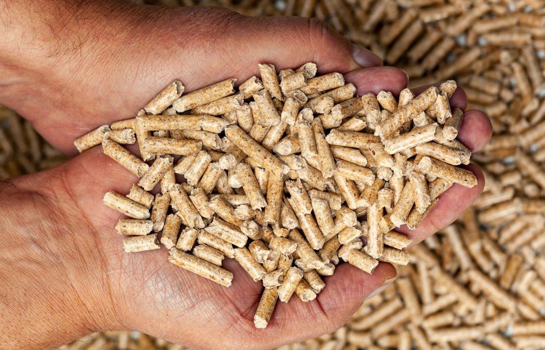 Wood pellets in hands.