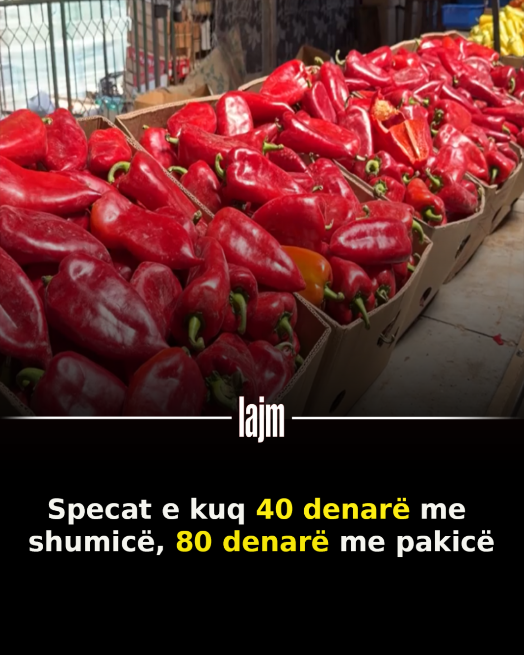 spec