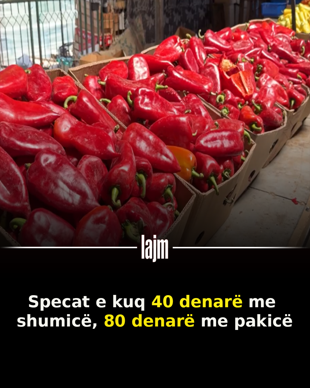 Specat e kuq 40 denarë me shumicë  80 denarë me pakicë