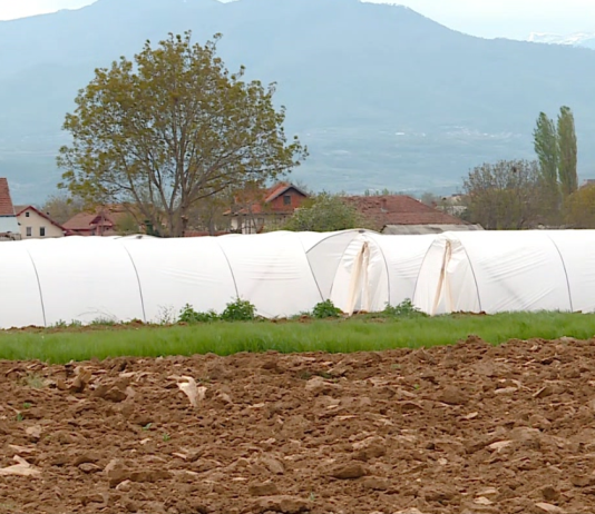 Stuhia la dëme në bujqësi, komunat duhet të nisin vlerësimin