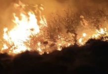 31 zjarre në Maqedoninë e Veriut, dy ende aktive: flakët kalojnë edhe në Kosovë