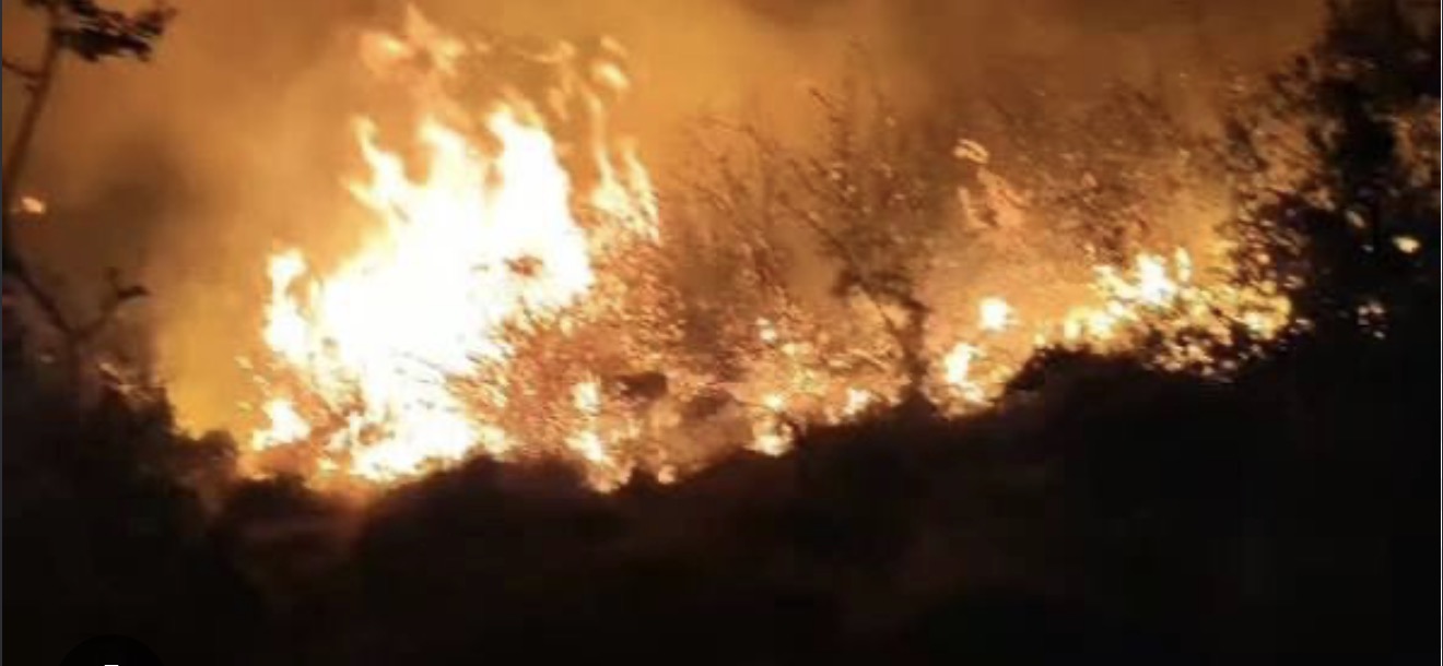 31 zjarre në Maqedoninë e Veriut  dy ende aktive  flakët kalojnë edhe në Kosovë