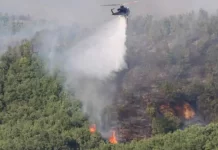 Gjithsej 31 zjarre, tre aktive dhe katër nën kontroll