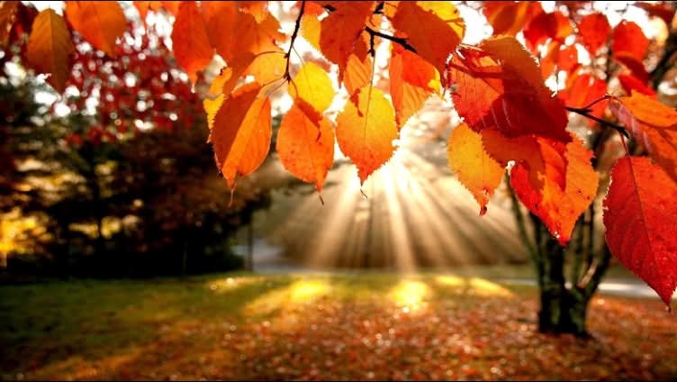 moti-ndryshon-ne-fund-te-tetorit-priten-reshje-shiu-dhe-renie-e-temperaturave