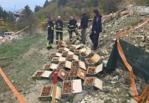 Alarm në Manastir: Mbi 4.000 bomba të zbuluara në ish-kazermën ushtarake, priten edhe mijëra të tjera!