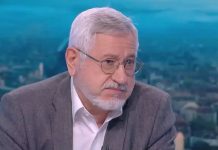 Historiani Dimitrov: Shkupi nuk i përmbush obligimet, Komisioni i përbashkët historik pa rezultate, ndërsa kujdesi për Ivën po vonohet