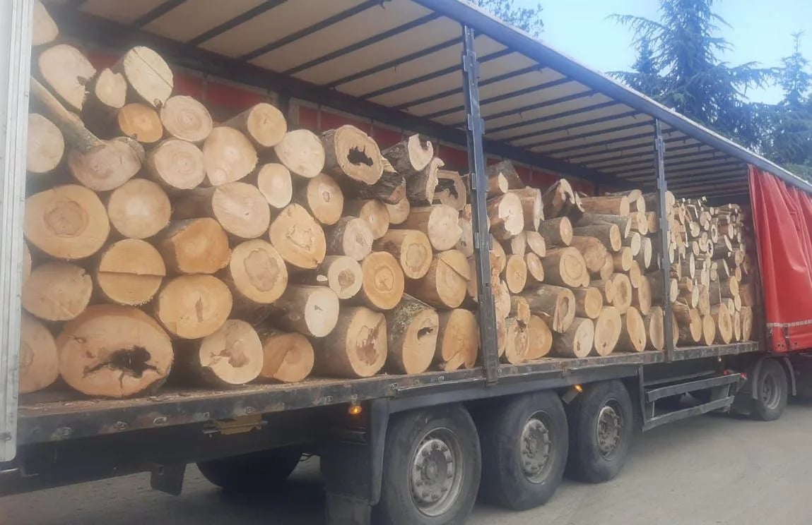goditje-ndaj-tregtise-se-dyshimte-me-dru-sekuestrohen-400-metra-kub-ne-shkup