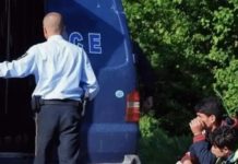 Kapen 8 migrantë në një veturë, arrestohet 40-vjeçari nga Shqipëria!