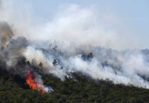Alarm nga zjarret në Kumanovë e Likovë, dy vatra ende aktive në terrene të paarritshme
