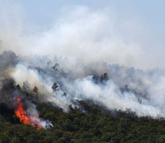 Alarm nga zjarret në Kumanovë e Likovë, dy vatra ende aktive në terrene të paarritshme